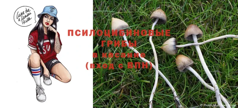 Псилоцибиновые грибы MAGIC MUSHROOMS  Ноябрьск 